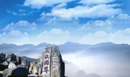 山东泰山爆料者名单最新,幕后真相一一揭晓